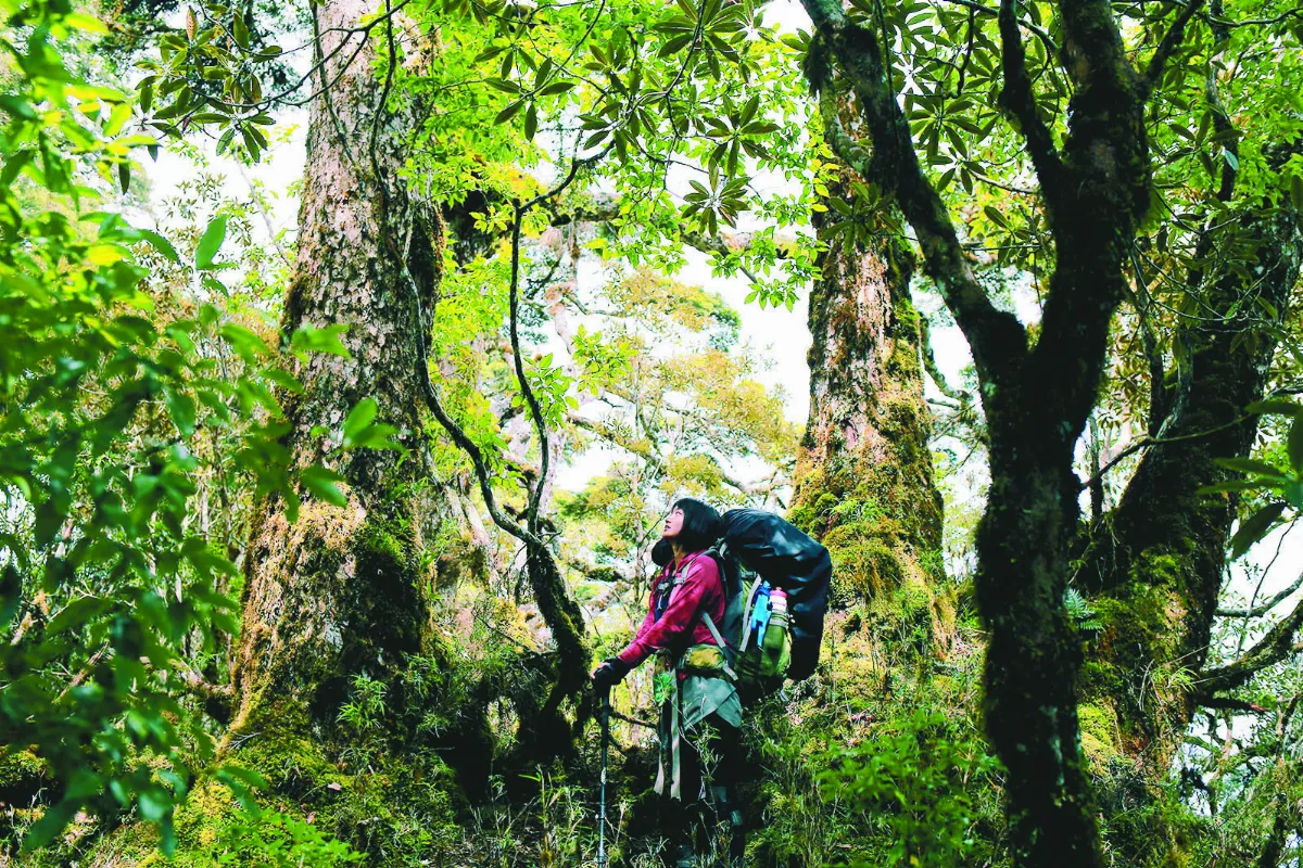 葉書妤 帶山女孩體驗登山樂