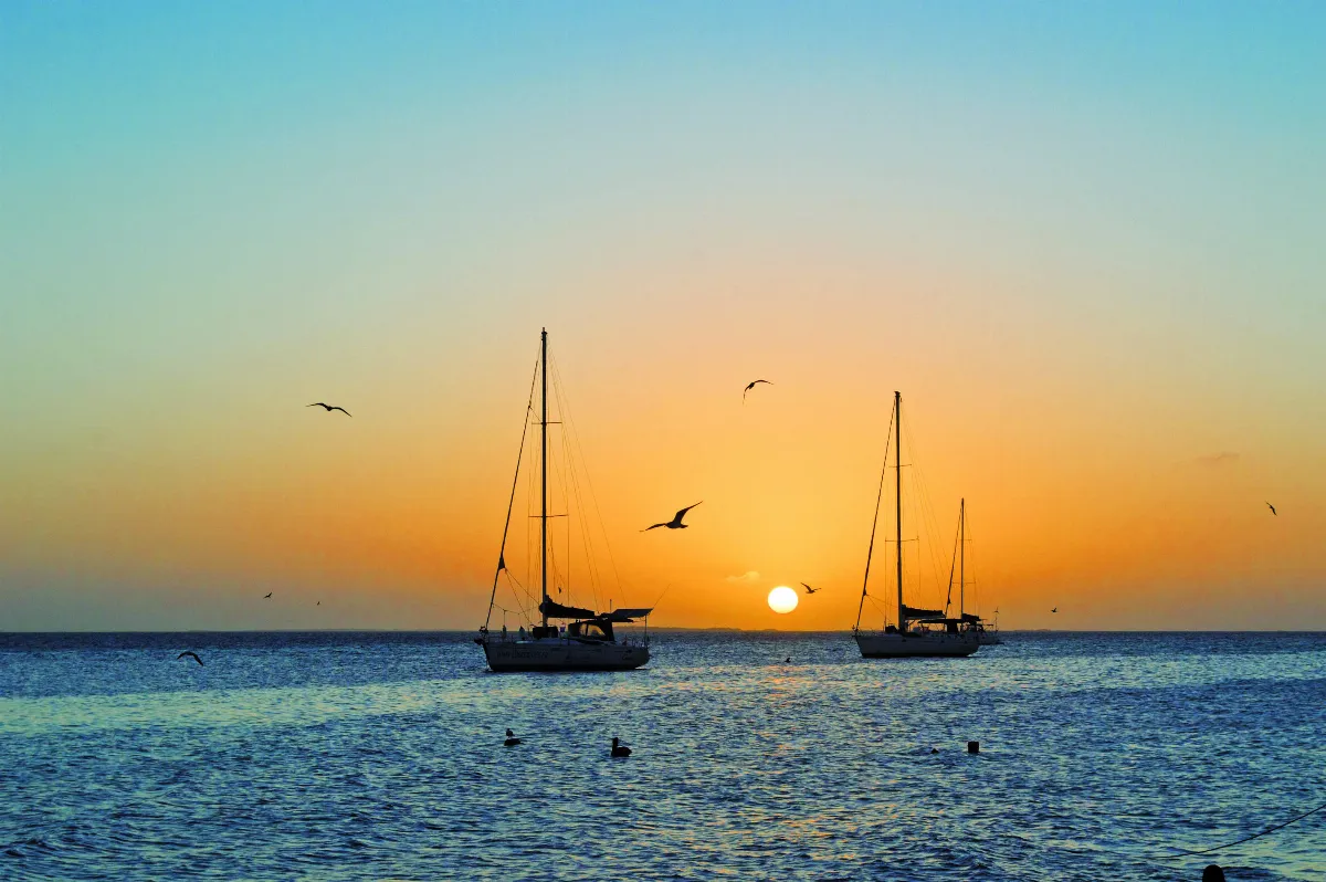 【奮起飛在人間】曲直向前 如何獲得幸福與安樂