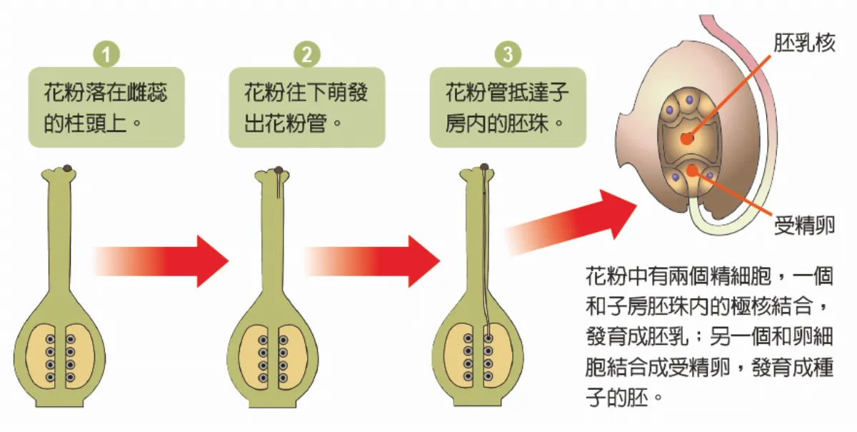 開好花 結好果