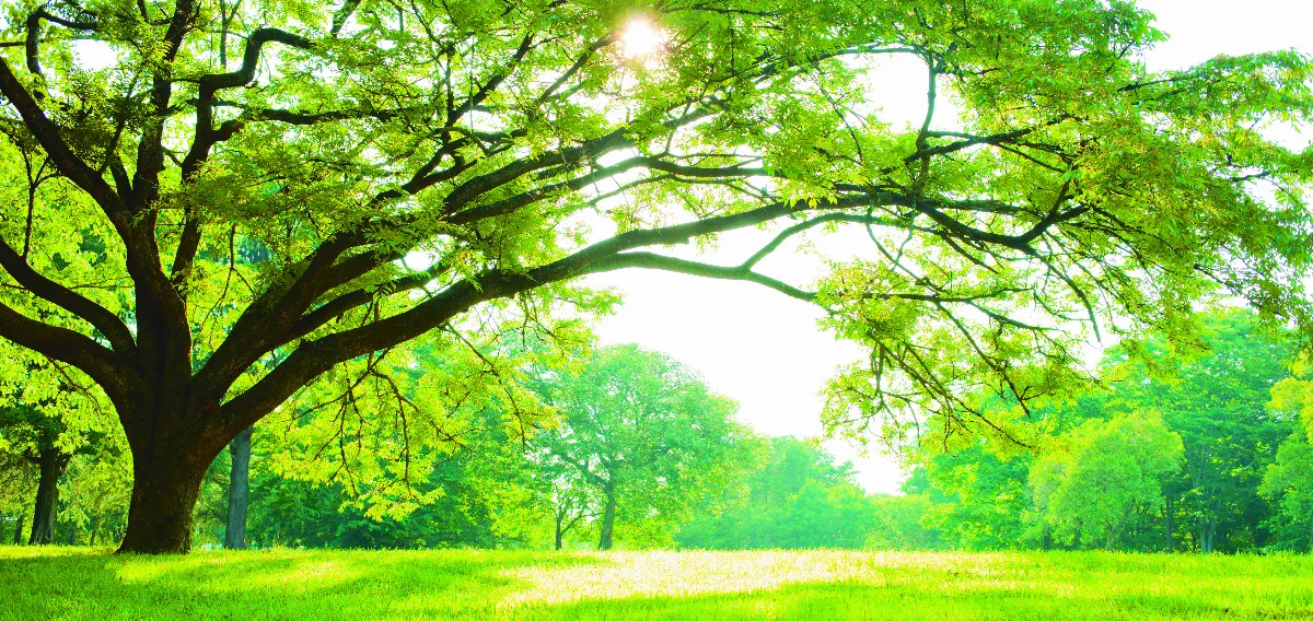 隨堂開示錄─教育講習 34  十項修鍊 7-7