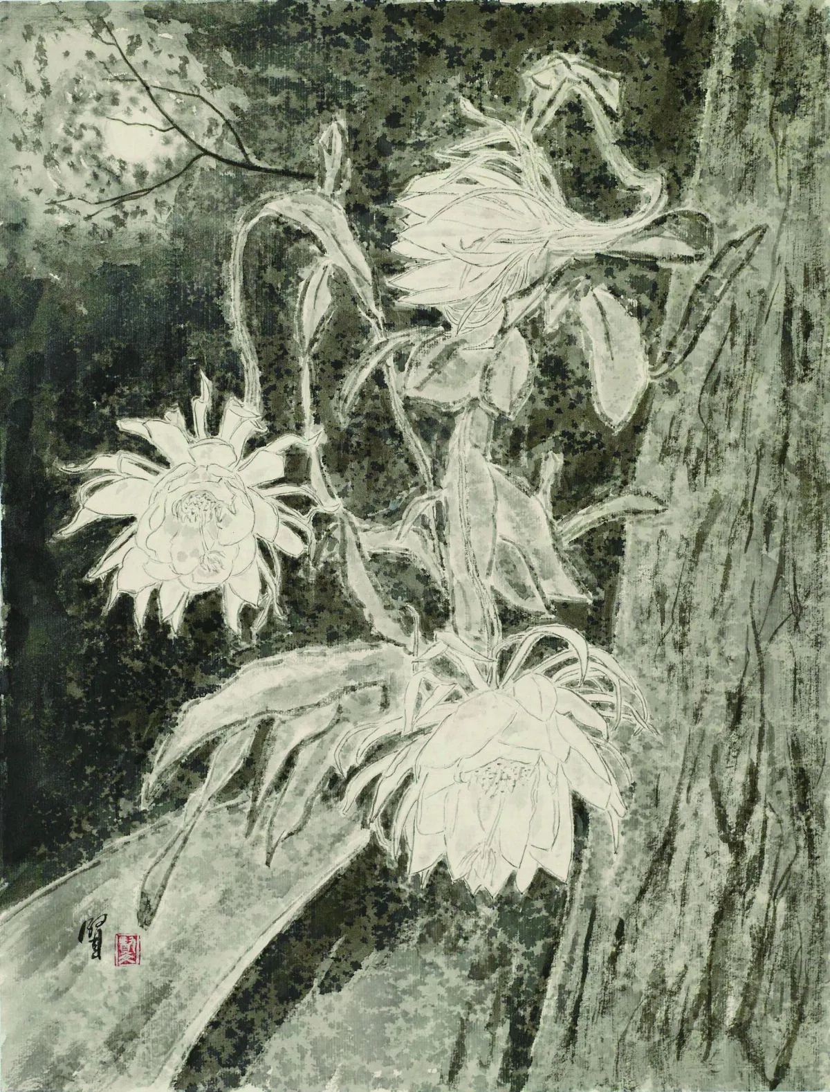 【節氣24帖 五苓一年】 小暑‧曇花‧月下三美