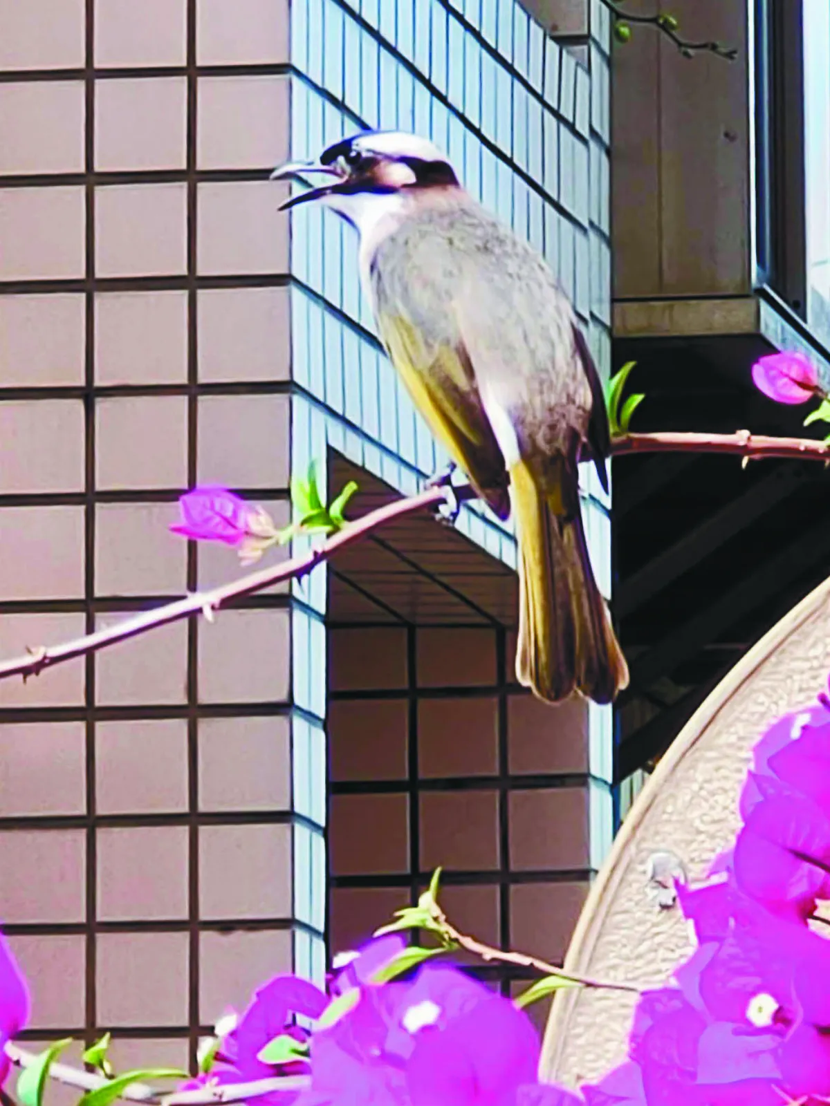 【時光重逢】久久自芬芳