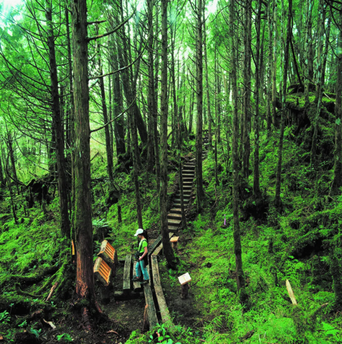 全球首條 寧靜步道