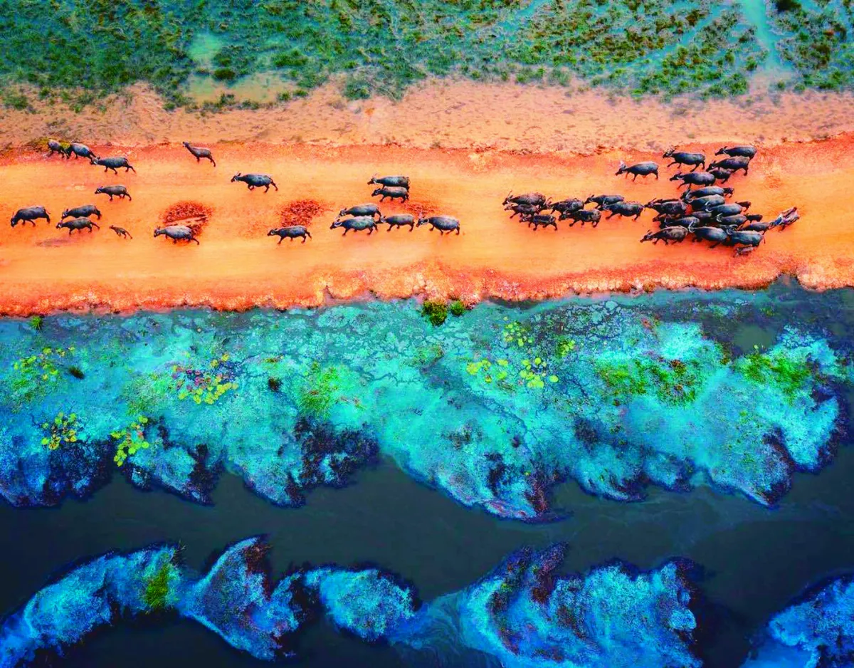 空拍自然景觀  彰顯越南之美