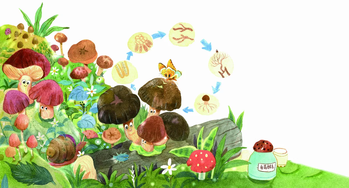 真菌界 小兵立大功