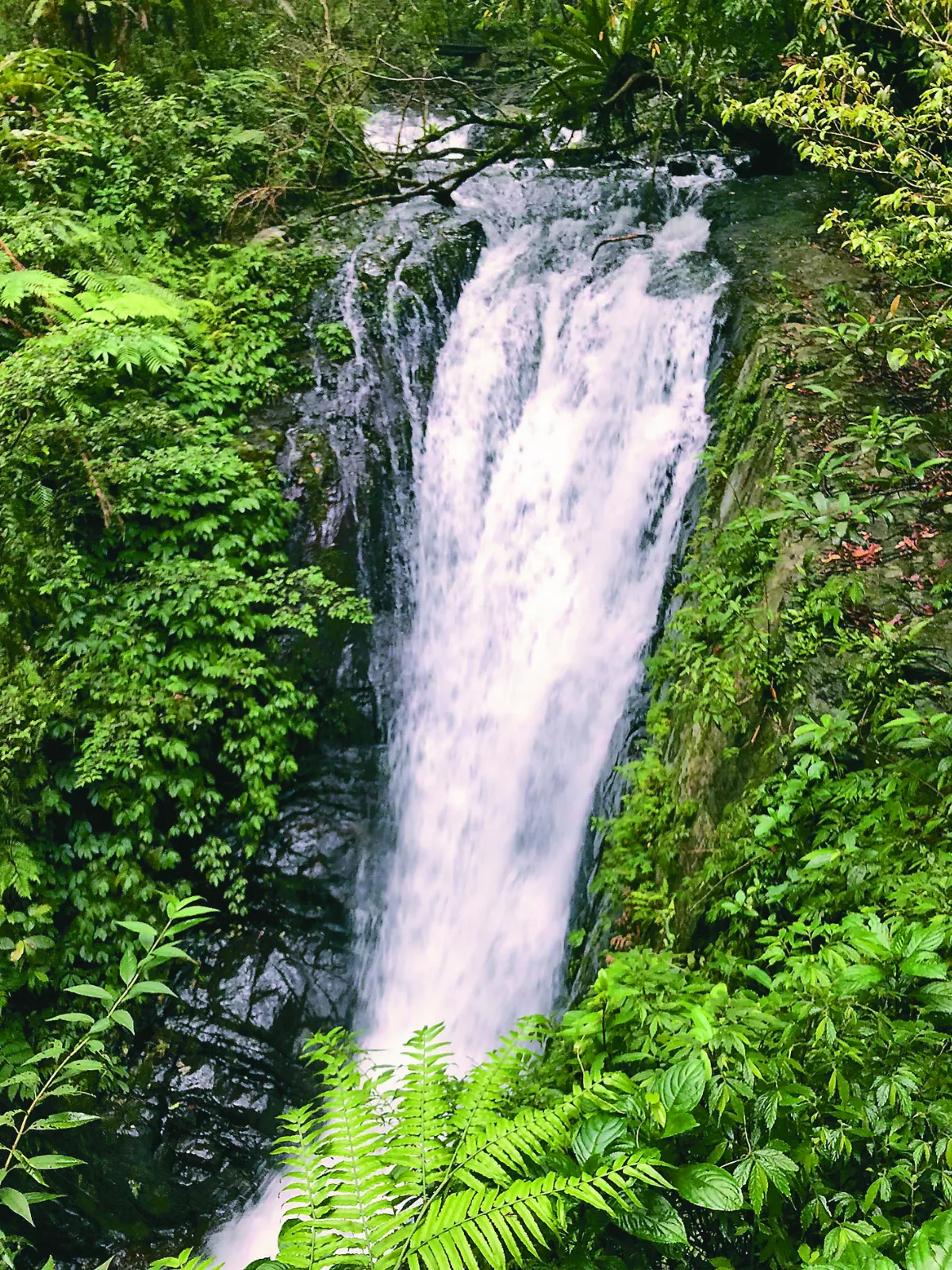 【印象旅人】林美石磐 宛若祕境的步道