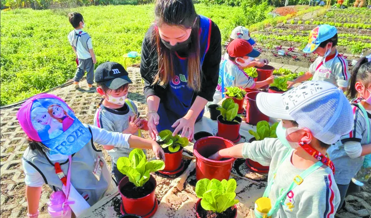 今網路報名 關渡食農基地  種菜趣