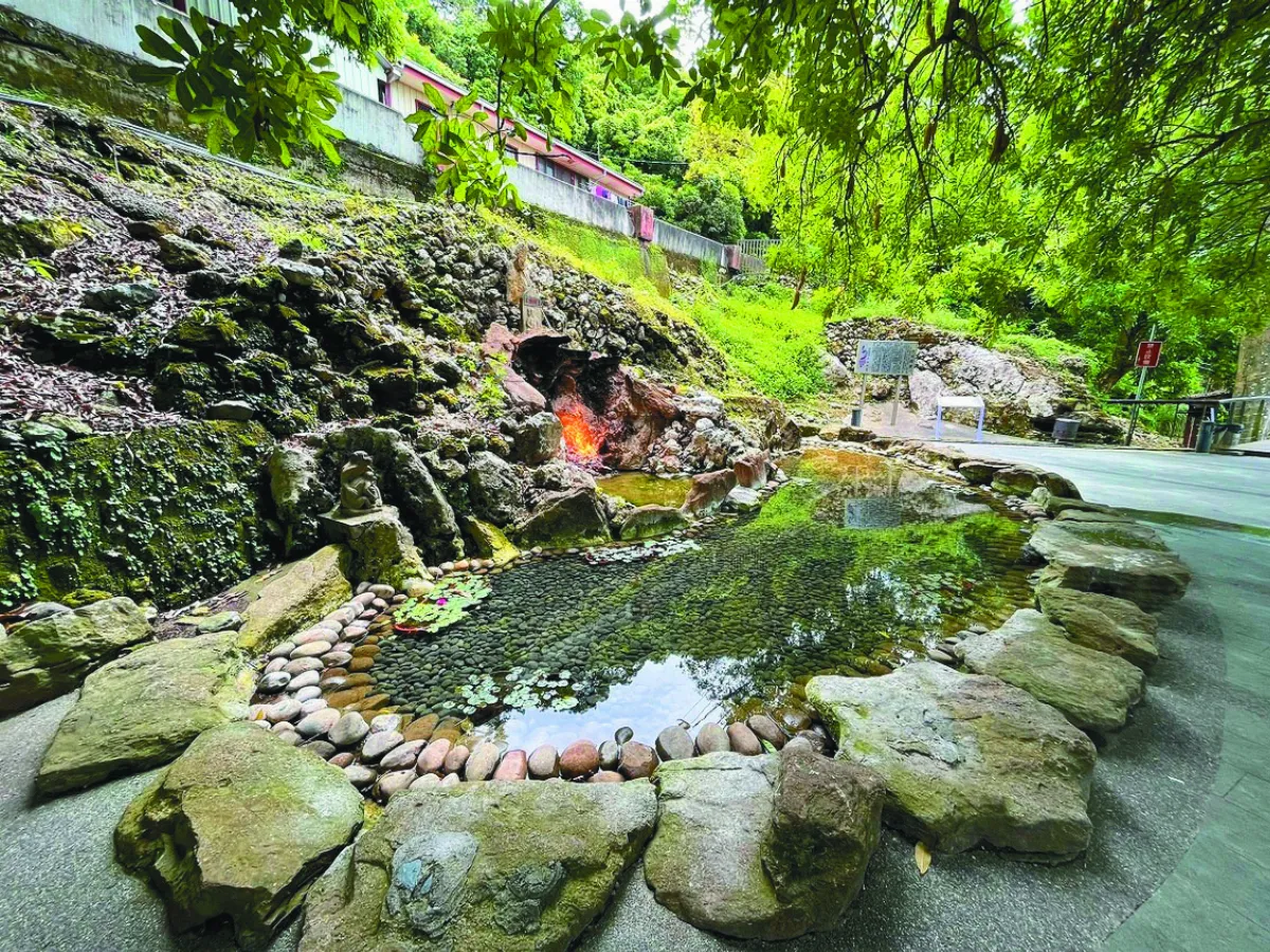 睡蓮點綴 水火同源景觀升級