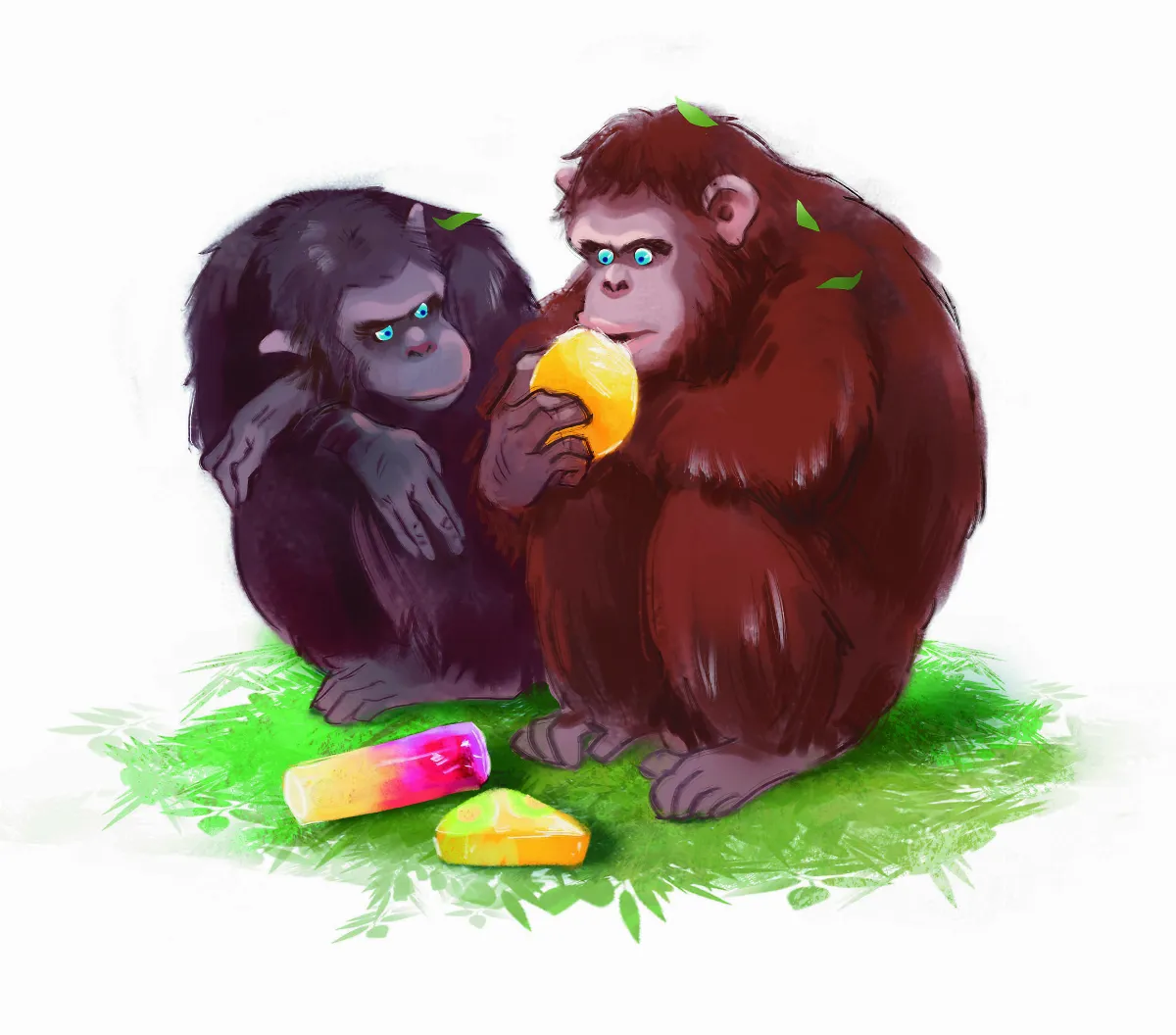 【趣味動物園】 人類與猩猩的距離