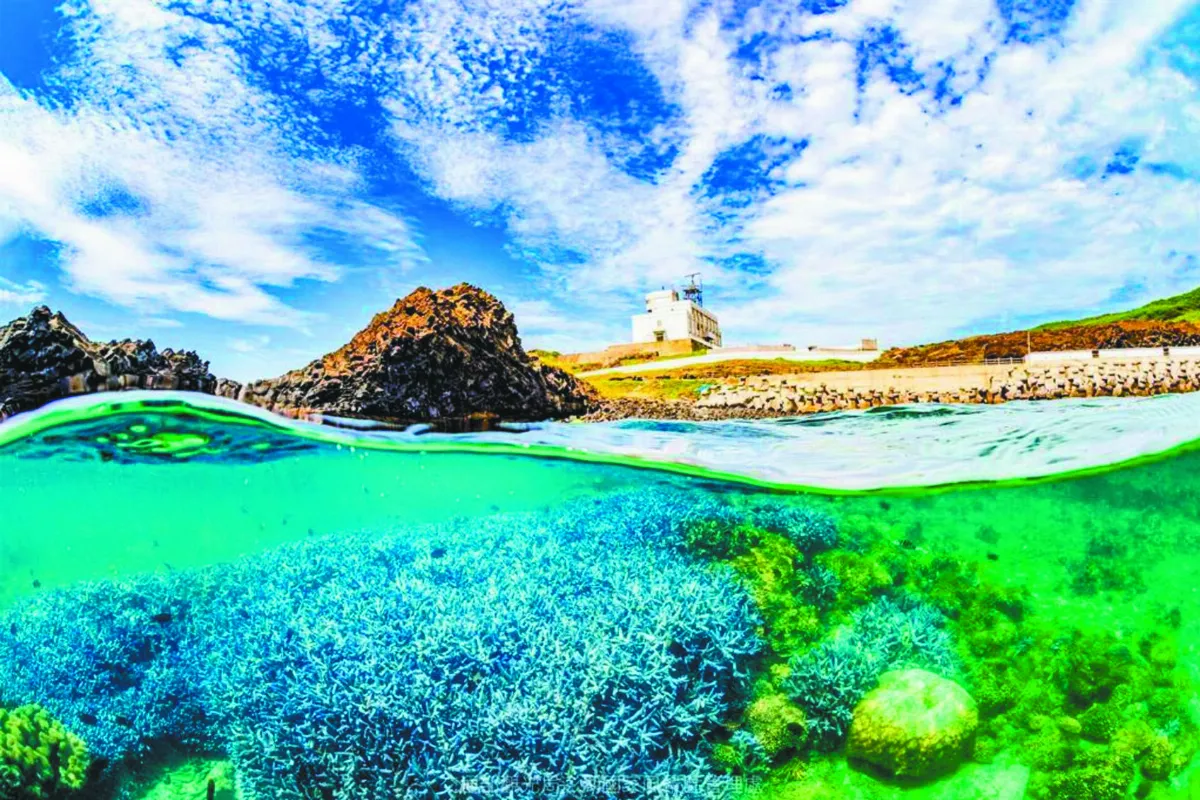 七美珊瑚海 涼快一夏