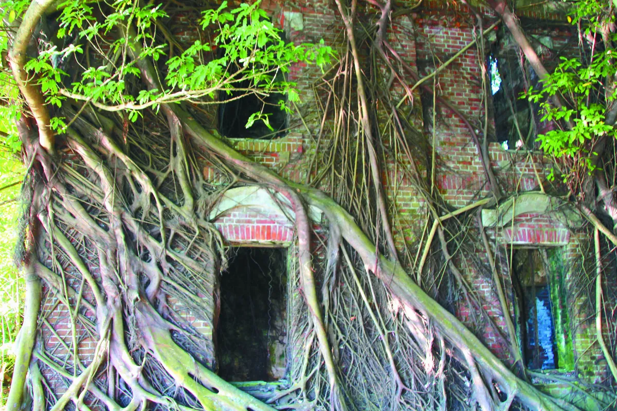 民雄鬼屋 老洋房成廢墟