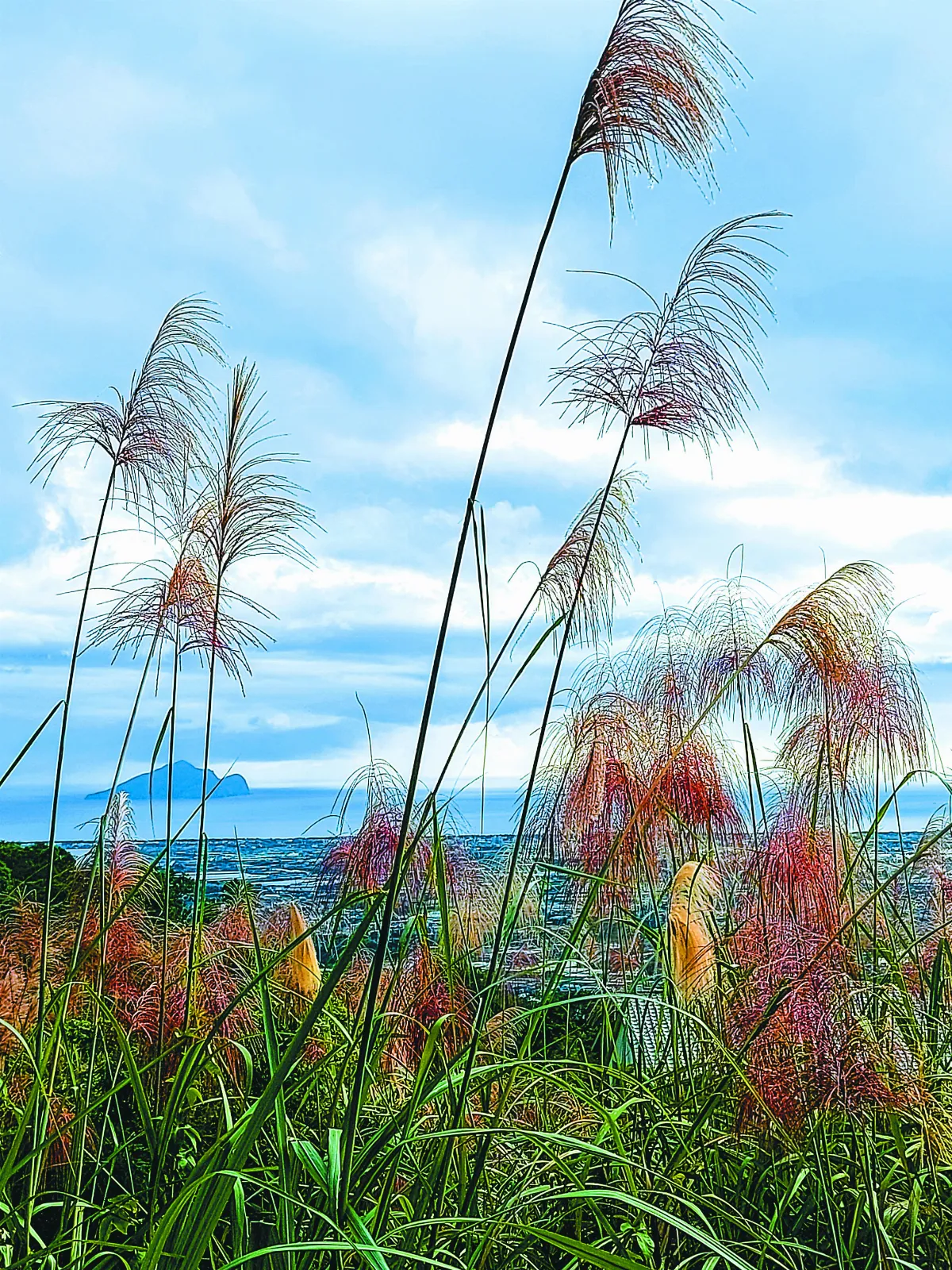 【紀實攝影】一日一海一龜山