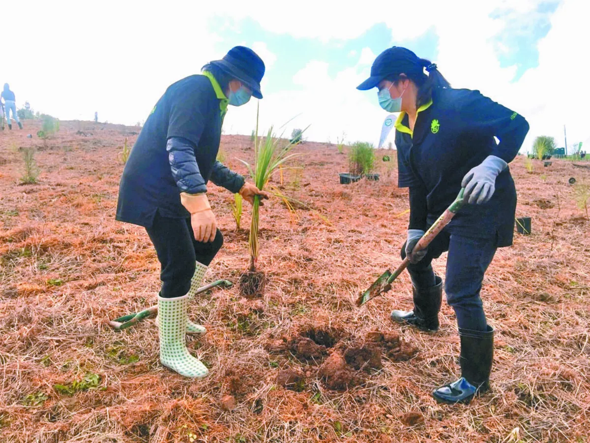 T-EARTH植樹  北島種千棵灌木