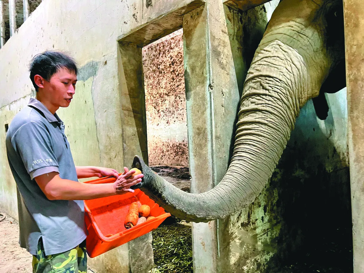 保育員成爸比  動物當兒女照顧