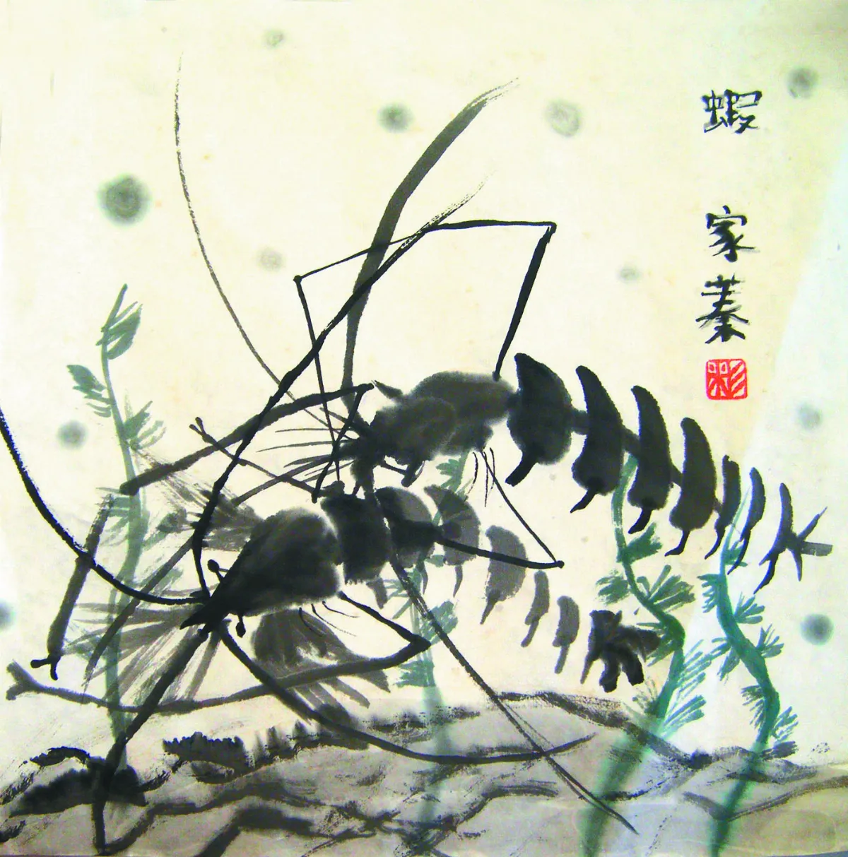 【快樂塗鴉簿】 蝦子