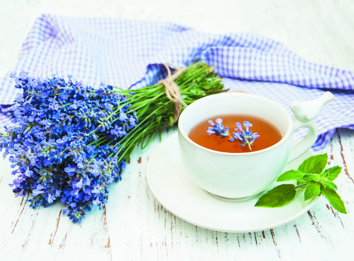 室內也會有熱傷害 薰衣草茶防冷氣病