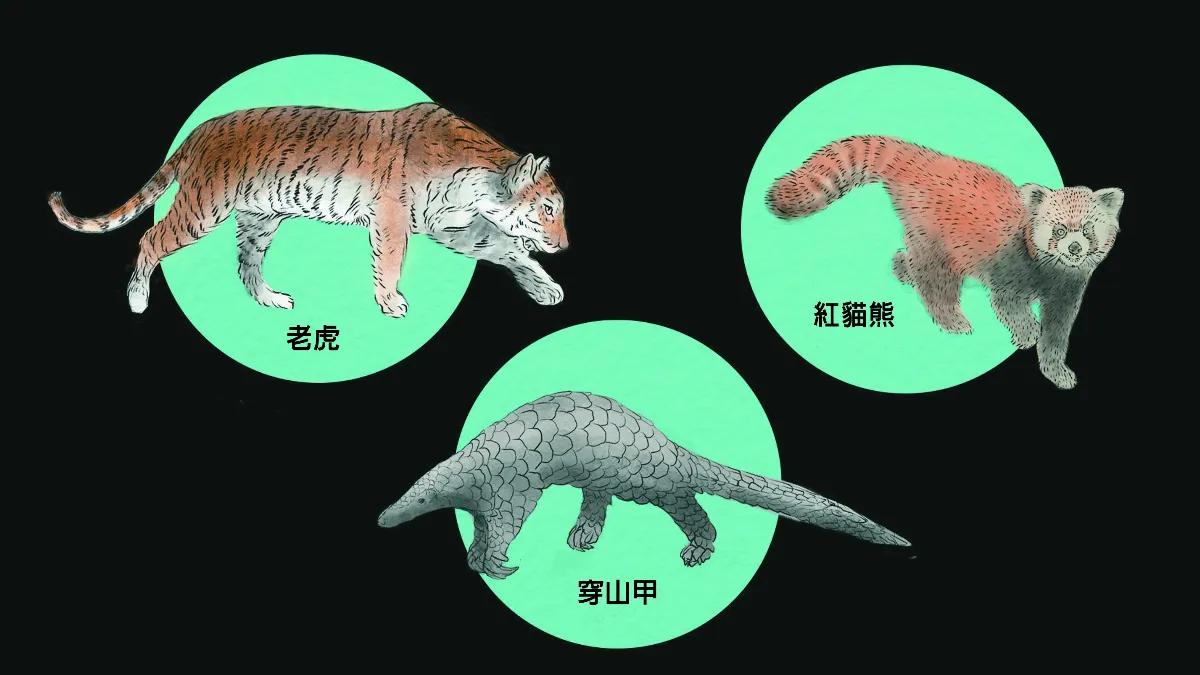 稀土開採 毀了牠們的家