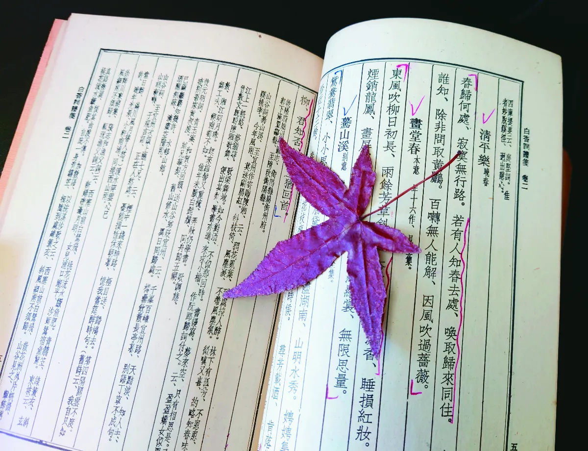 【書籤歲月】那些夾藏在書頁裡的