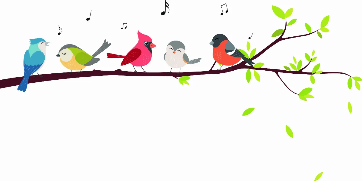 【鳥類物語行動篇】 飛鳥與走禽