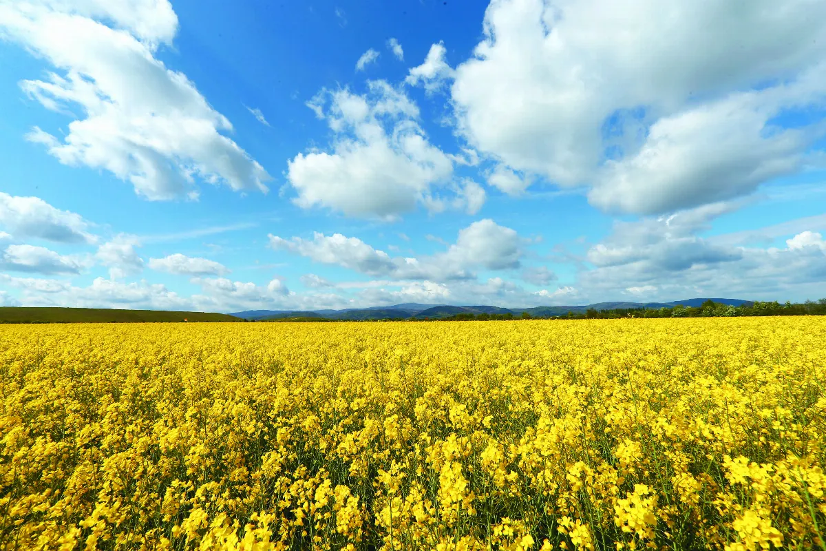 隨堂開示錄─教育講習 40 國際情勢 4-2