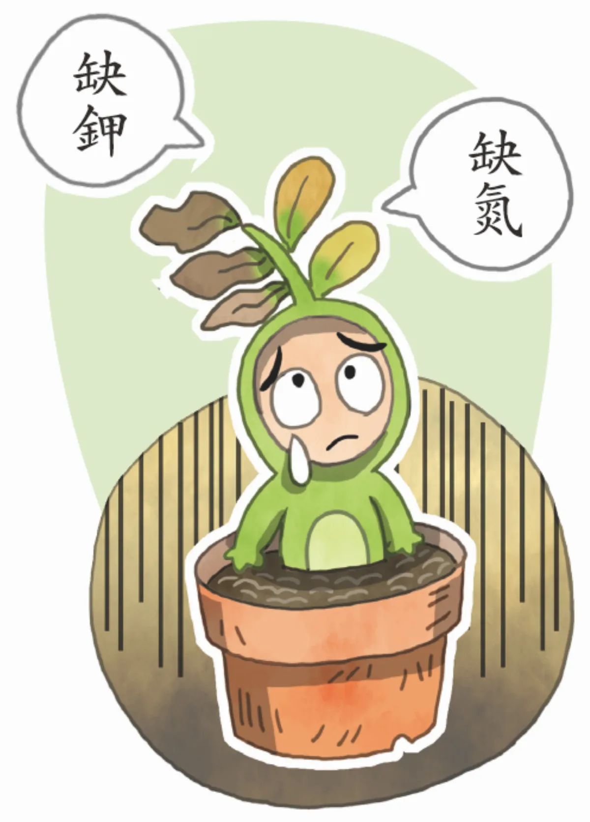 土壤也快篩 30秒掌握農地肥力