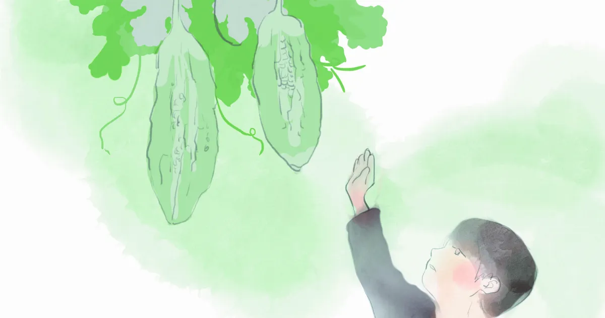燉苦瓜