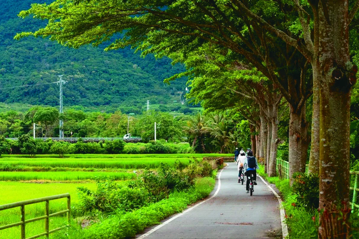 單車愜意花東行