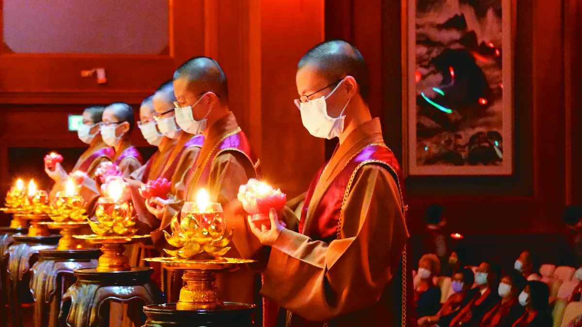 【叢林風光】尋根 值遇本具的佛性