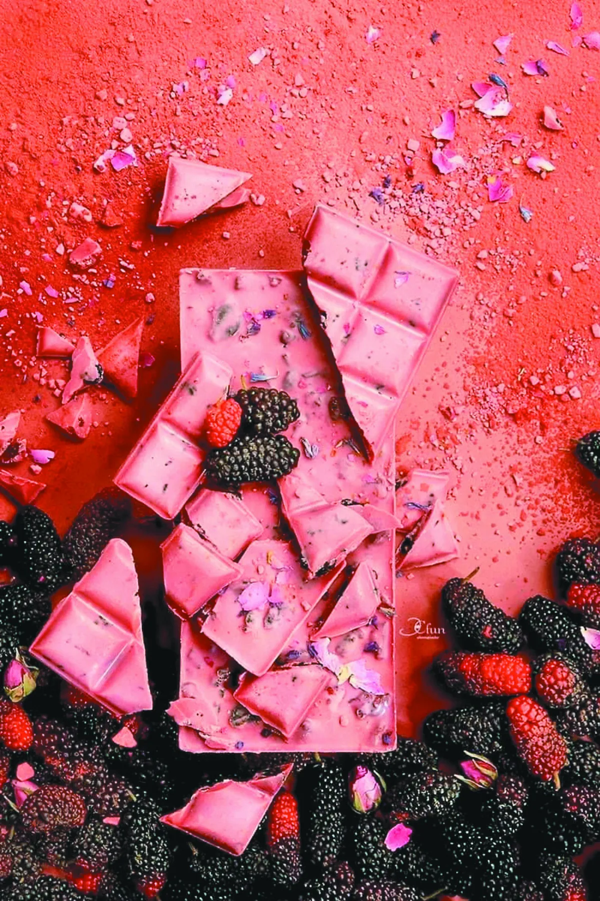 巧克力奧斯卡 吳葵妮奪  5  金