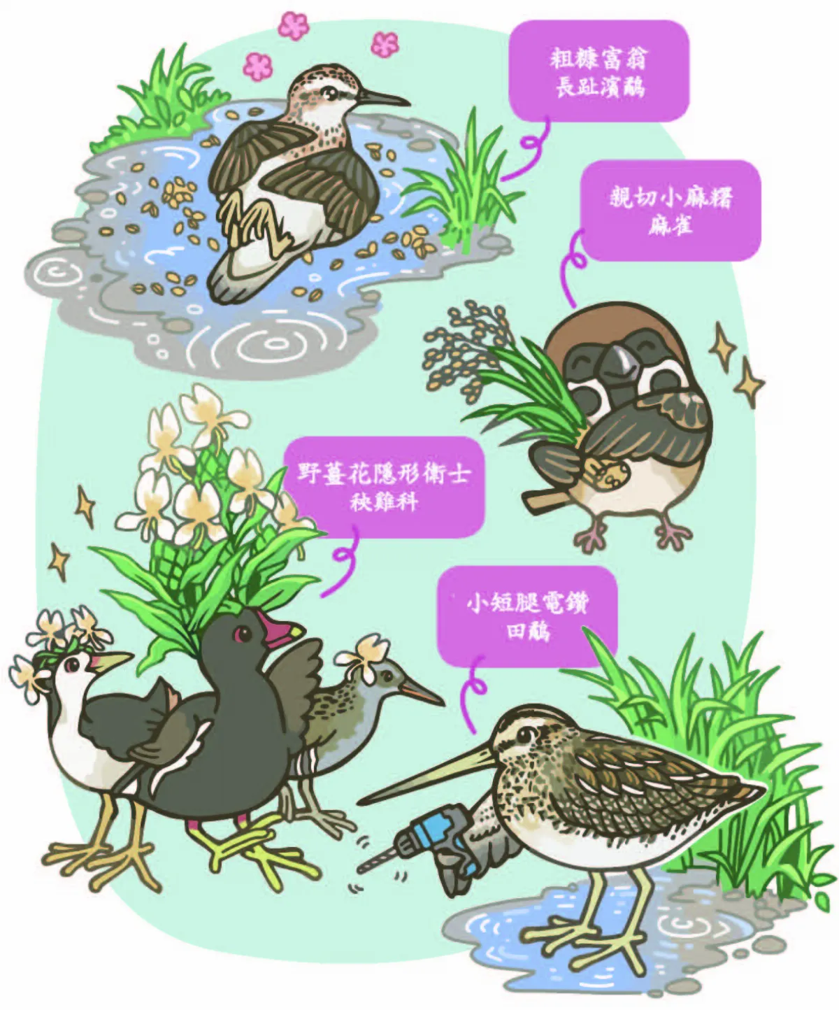 【玉子手札】田董米保育成功四天王 友善水鳥 成長紀錄