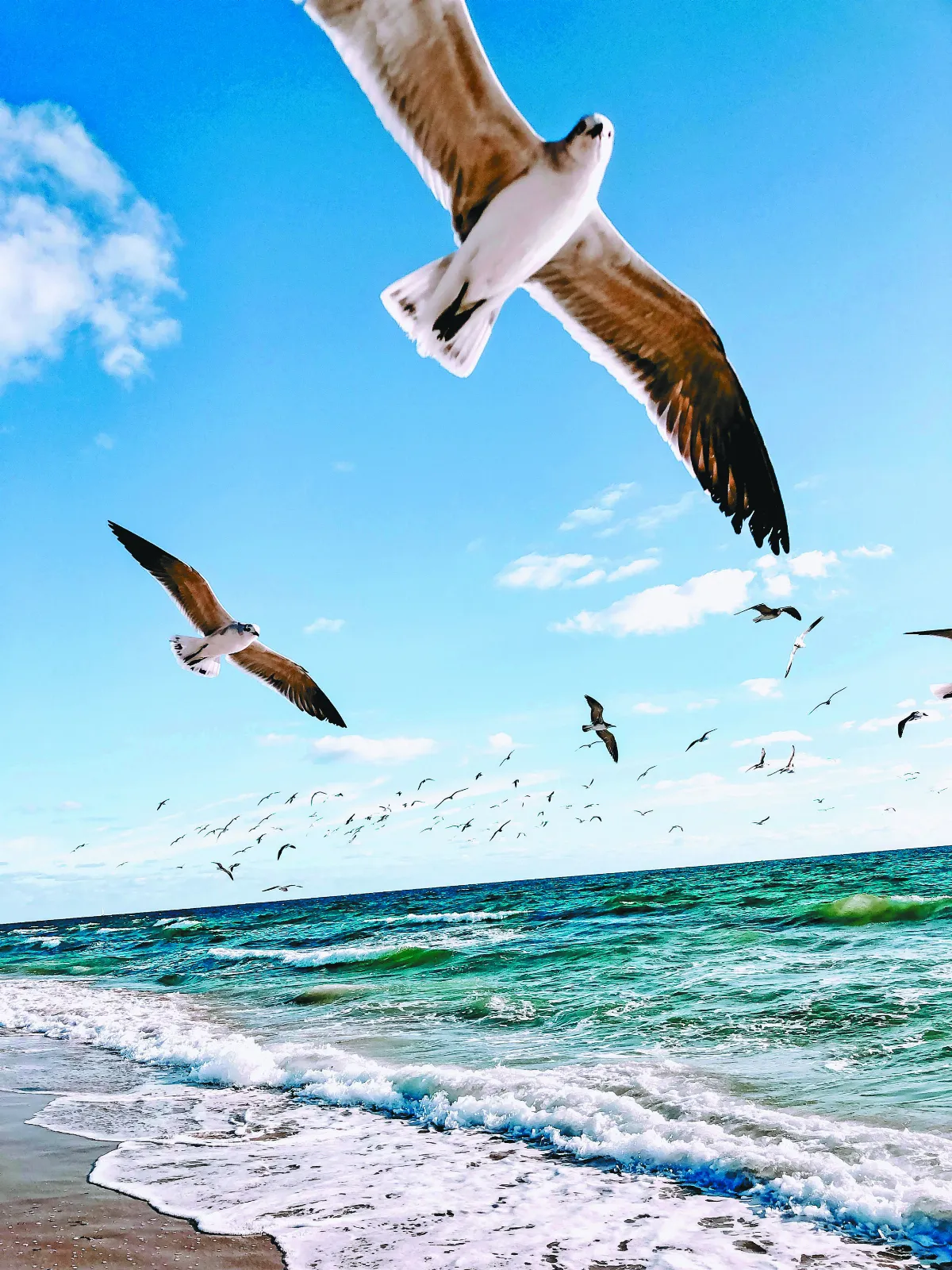 【紅塵禪煙】生命的勇者