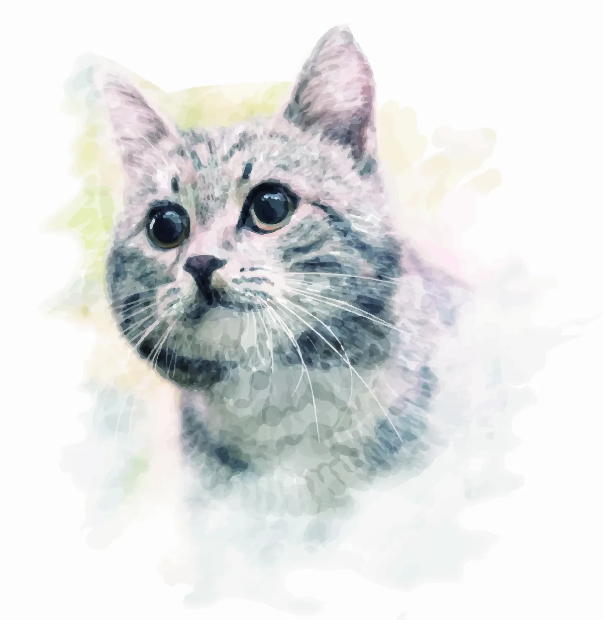 動物感覺毛不簡單