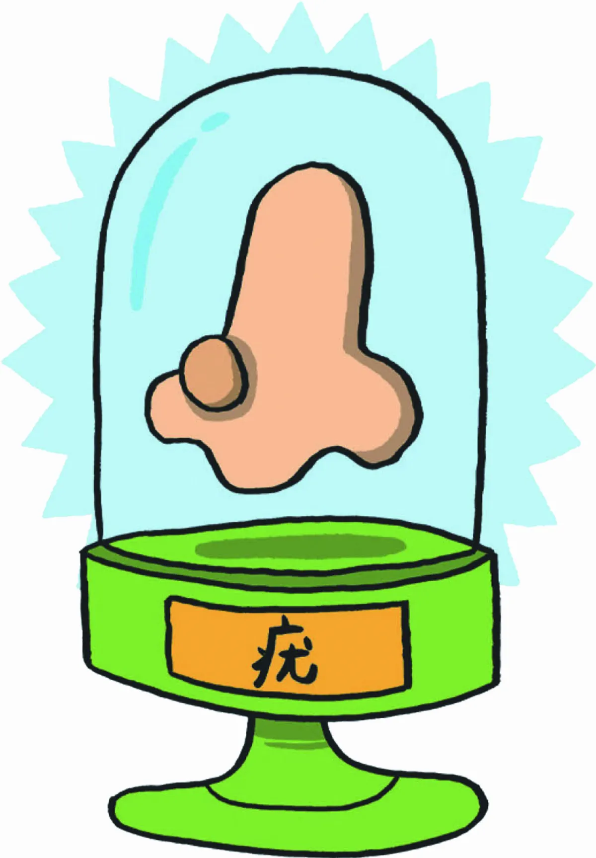 皮膚