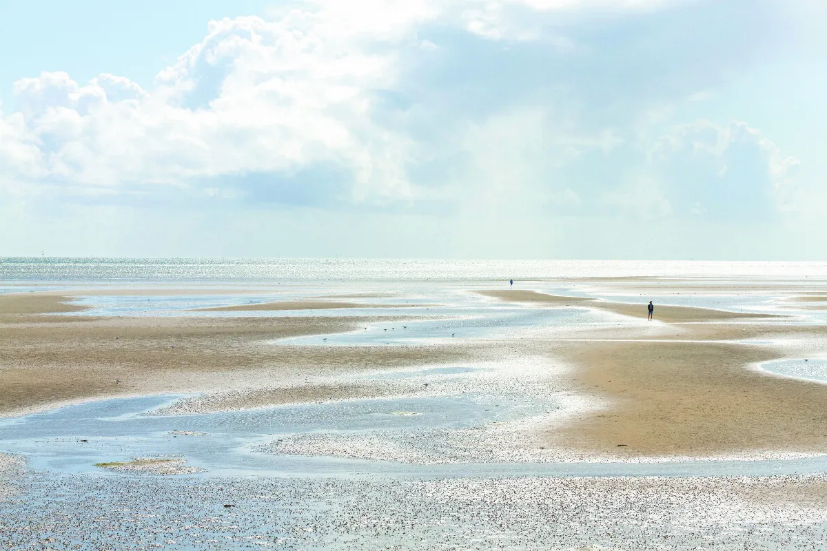 【隨堂開示錄─教育講習43】人生的選擇之道5-1