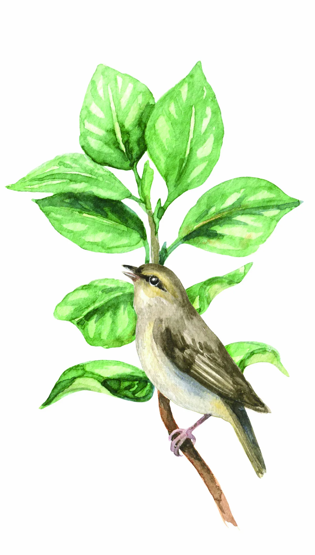 【隨堂開示錄─教育講習43】人生的選擇之道5-1