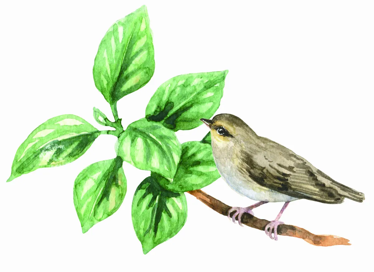 【隨堂開示錄─教育講習43】人生的選擇之道5-1