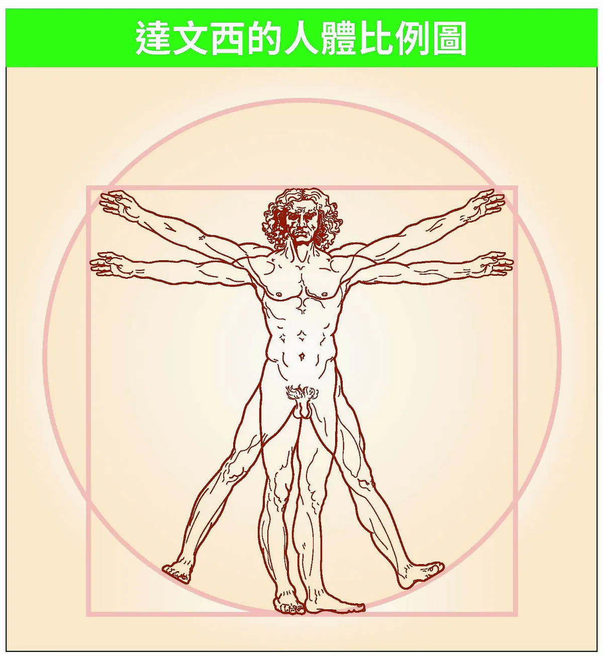 骨科醫師蔡凱宙：骨力自癒 從筋膜操做起