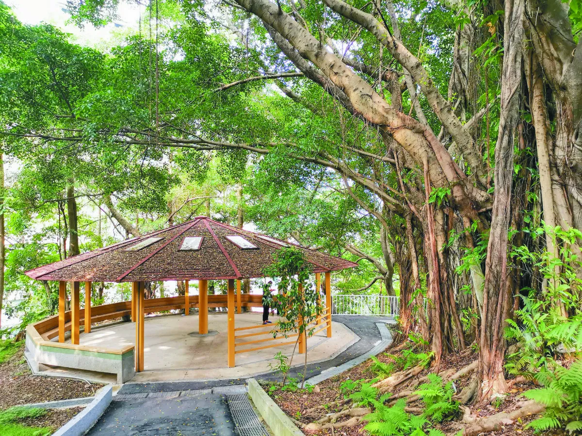 【走讀城鄉】新舊合併的特色公園 中和員山公園