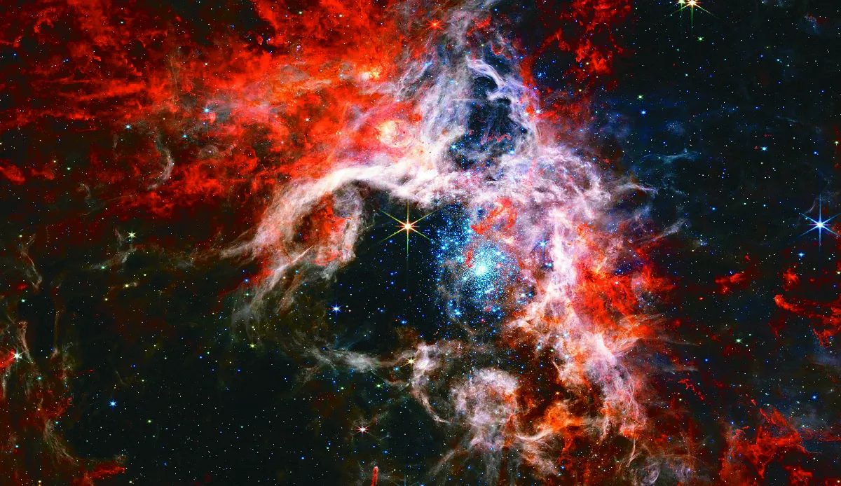 韋伯眼中的狼蛛星雲