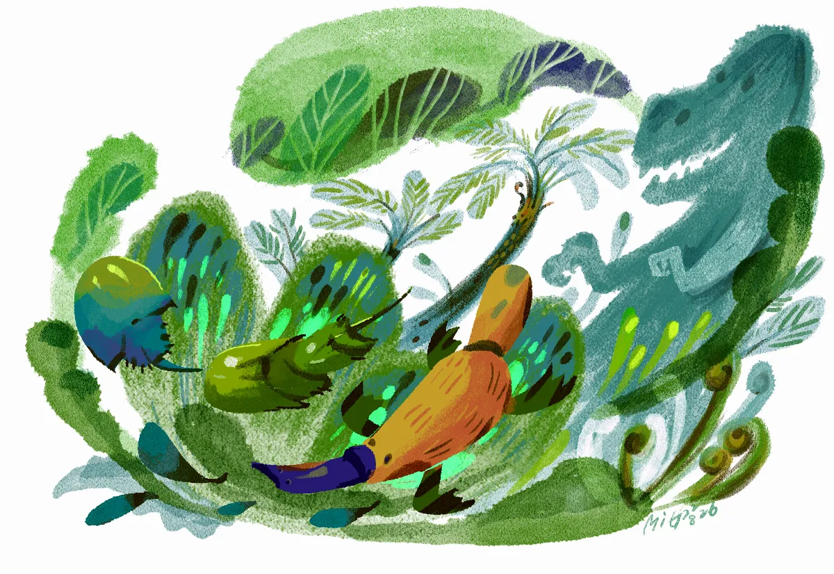 活化石 其實就在近處