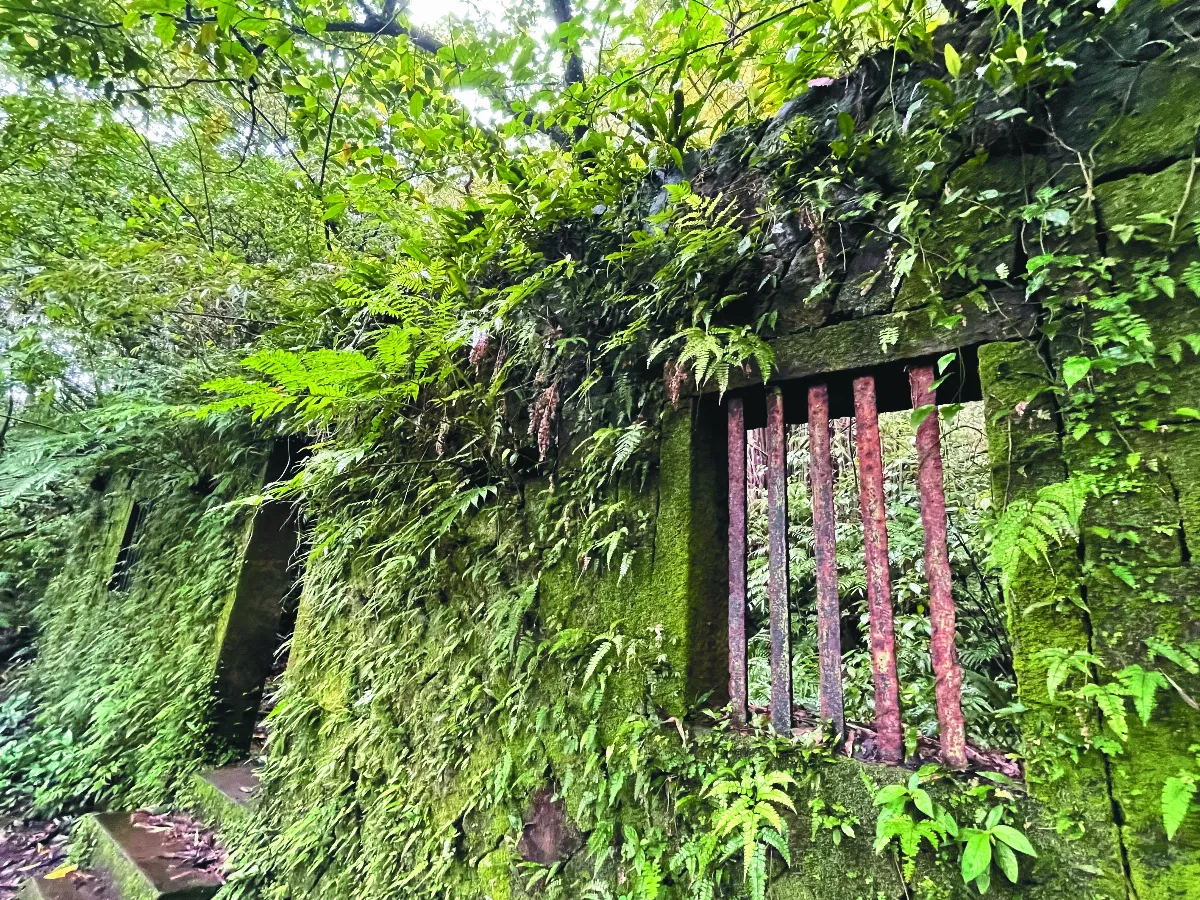 【王文靜看世界】台灣東部開拓史