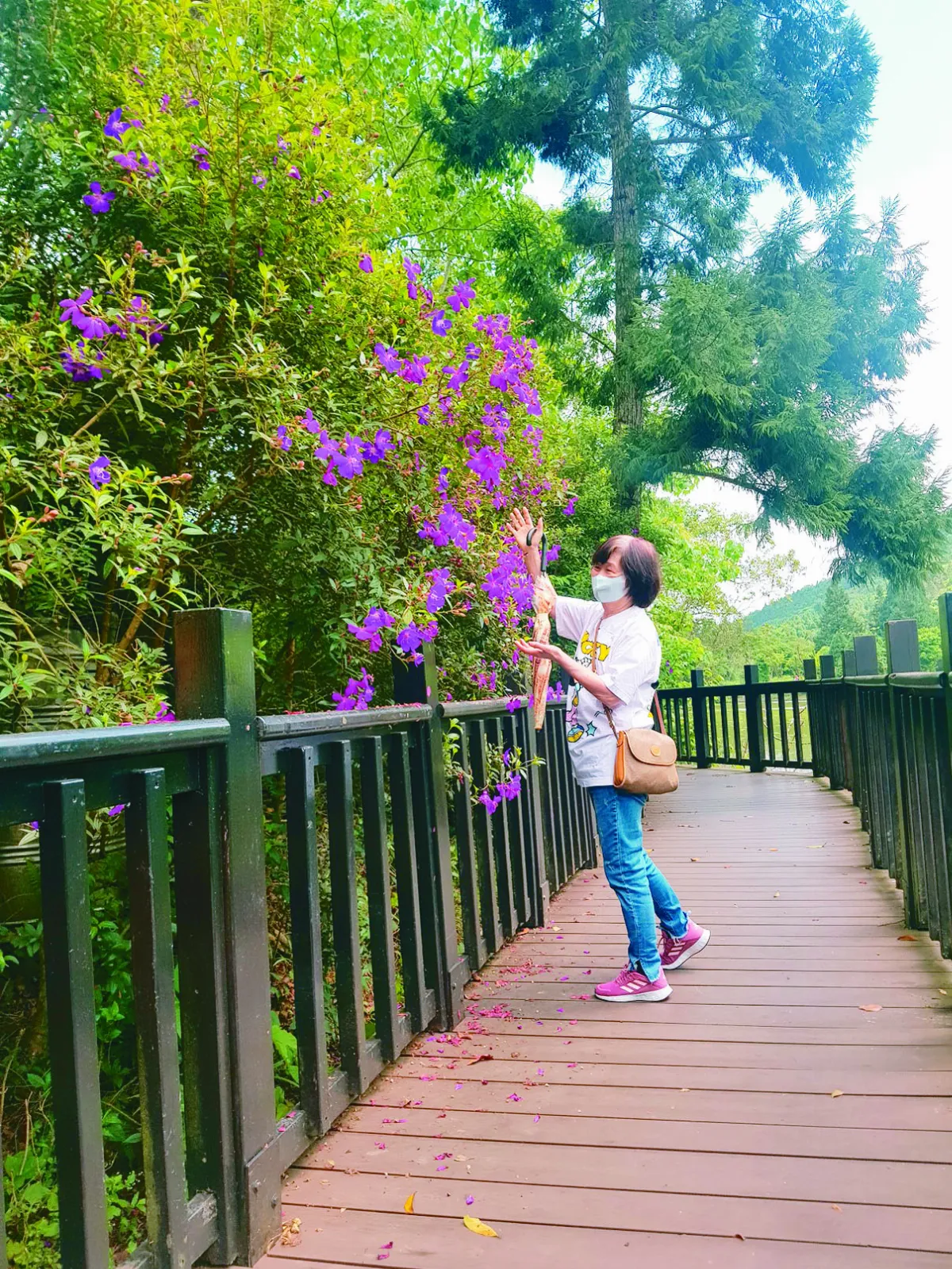 【印象旅人】南庄向天湖 田園交響曲