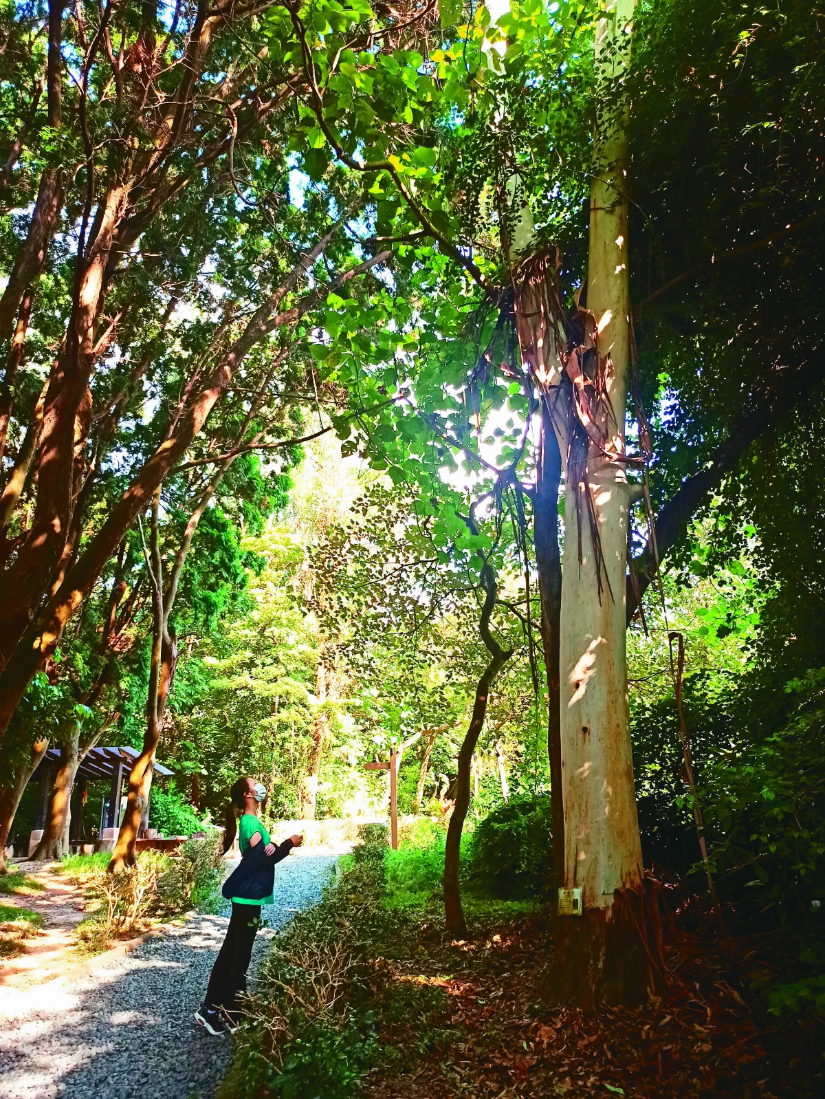 【幸福呢喃】愛心光圈