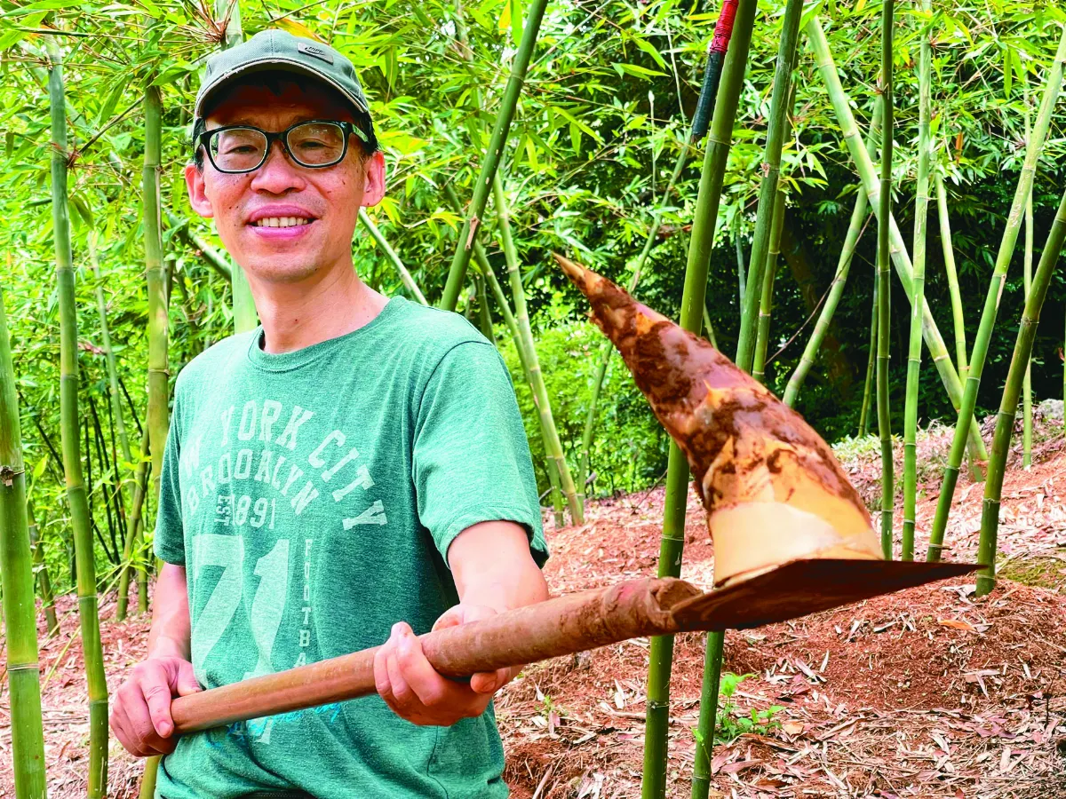 北投之旅 二崎生態農場採筍去