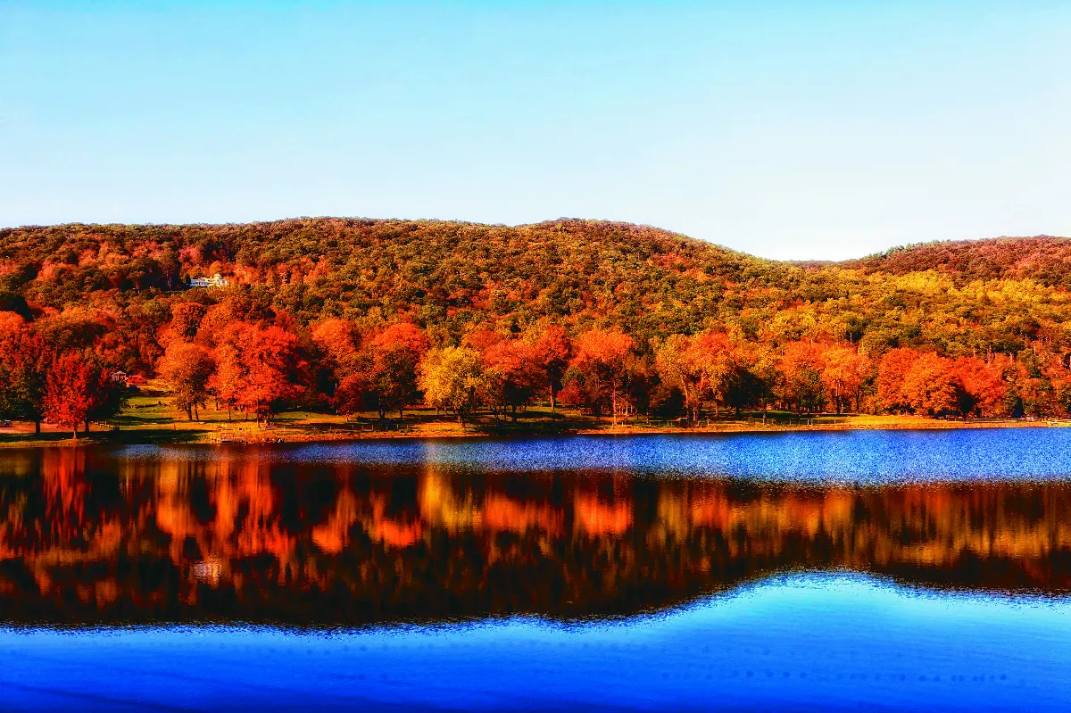 隨堂開示錄─教育講習 46 度眾與領眾 4-1