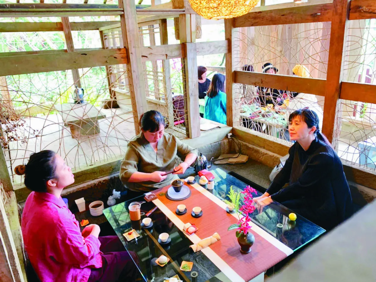 【海闊天空】阿里山太和村 眷戀茶之旅