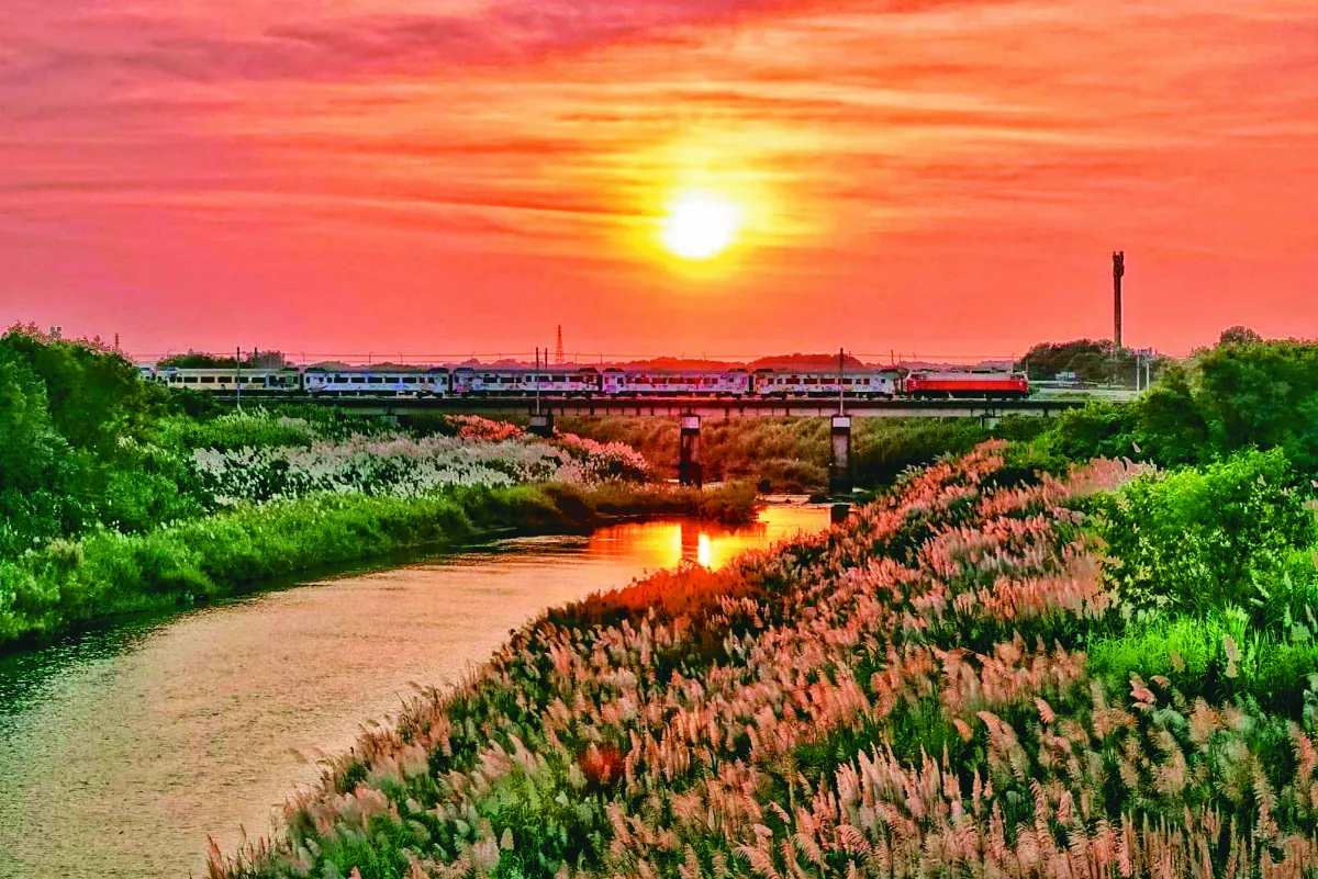 夕陽下菅芒浪花   秋季限定美景