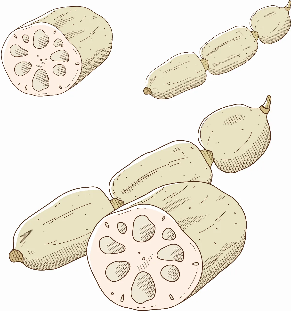 蓮藕洞洞是祕密通道