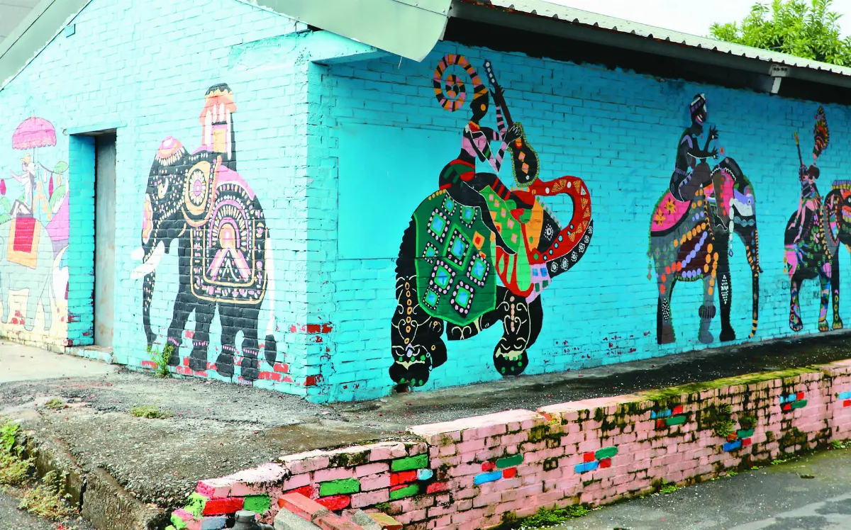 【在地好農】散步新港鄉間小路