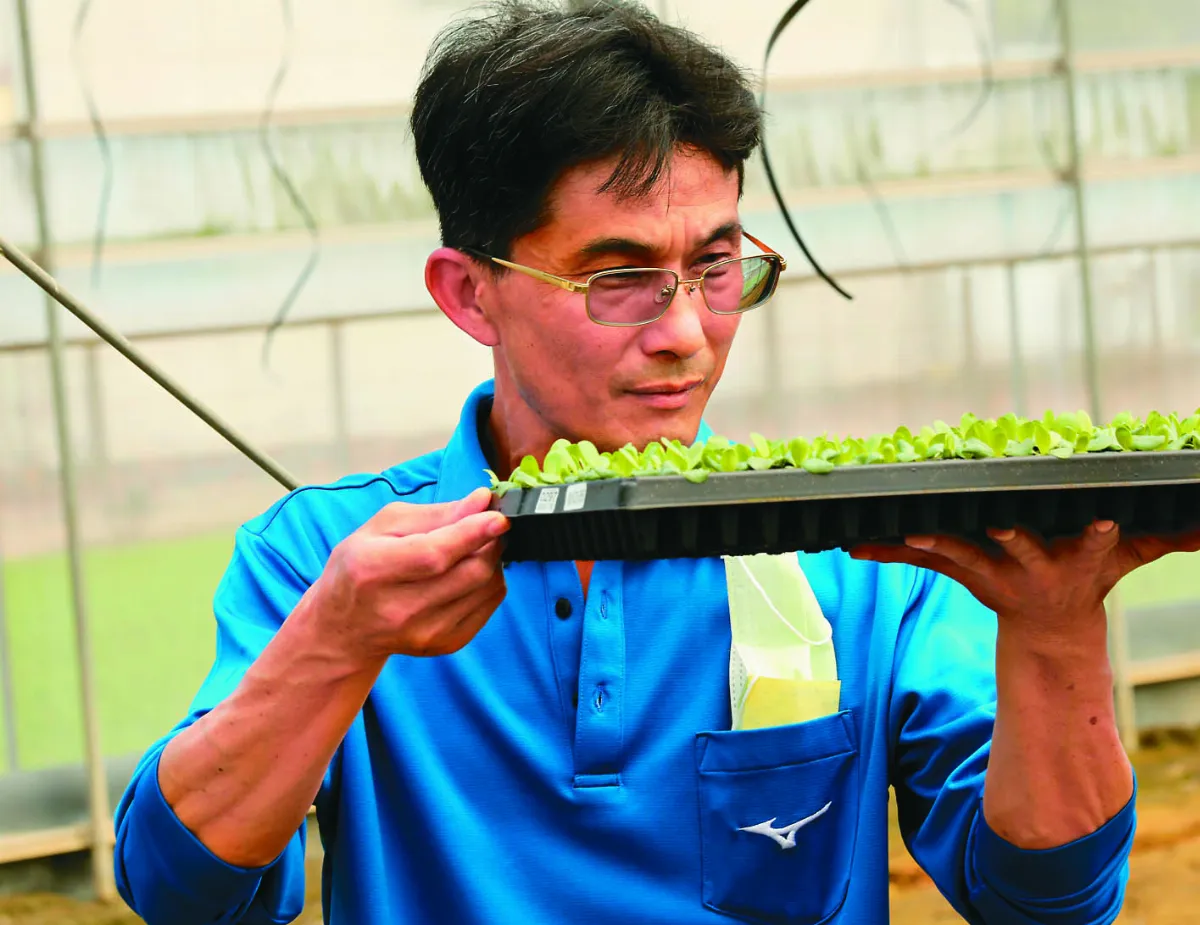【在地好農】散步新港鄉間小路